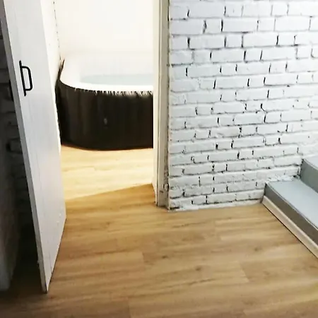 Petit Avec Et Sauna Communs A 2 Pas De La Place Dalton Lejlighed